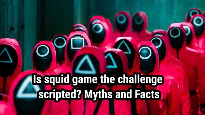 Is squid game the challenge scripted? Myths and Facts