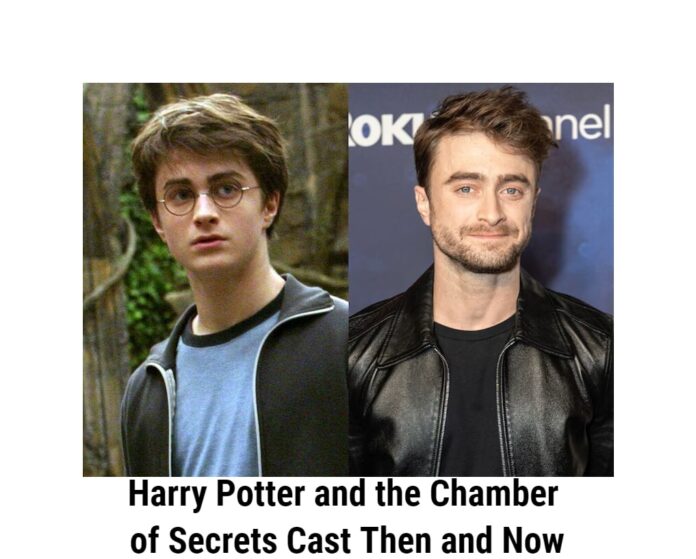 Harry Potter and the Chamber of Secrets Cast: Where Are They Now