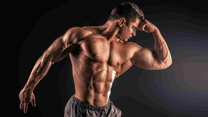 Misc bb the Ultimate Body Building Guide